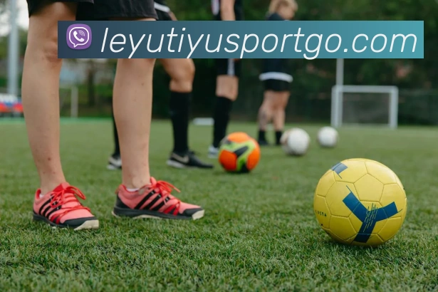 乐鱼体育服务体系